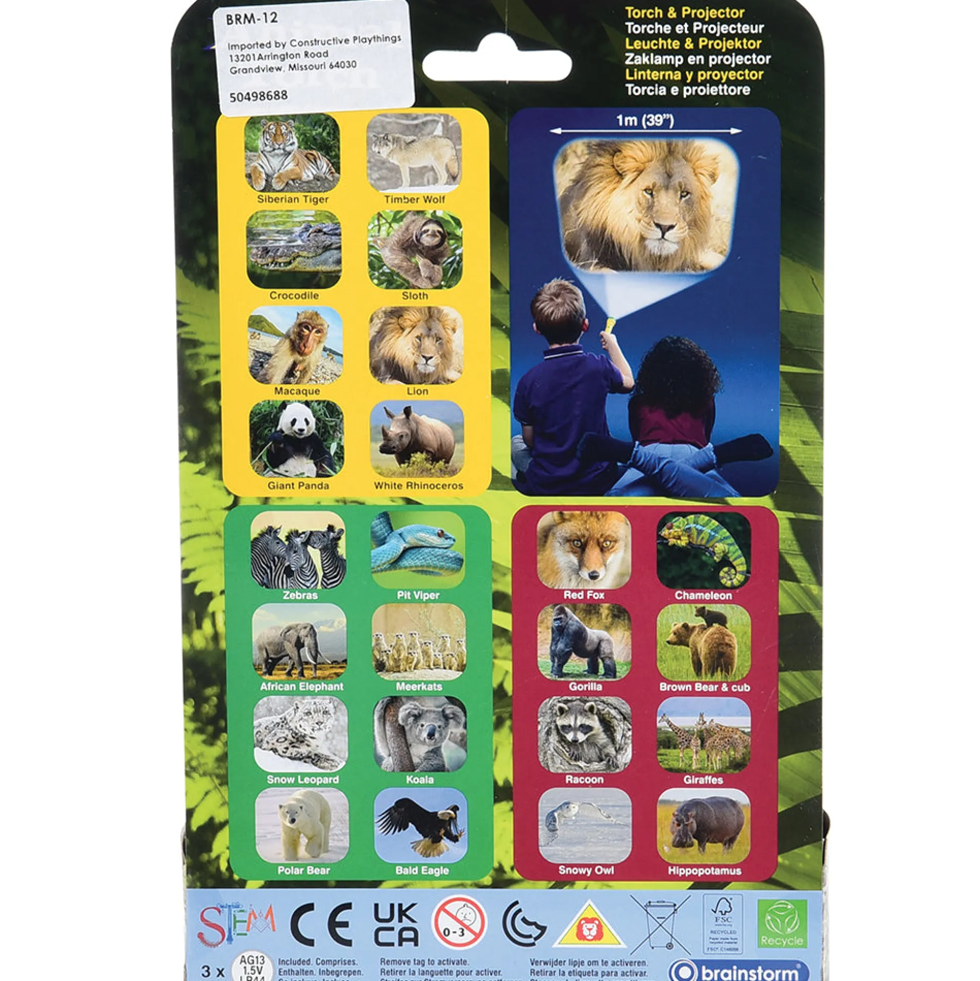 Animal Projector