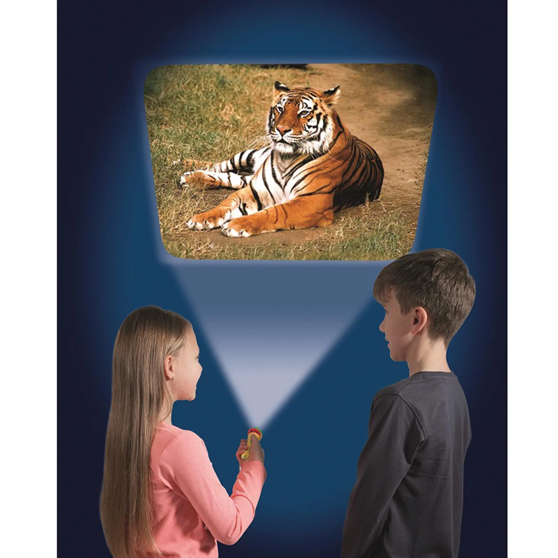 Animal Projector