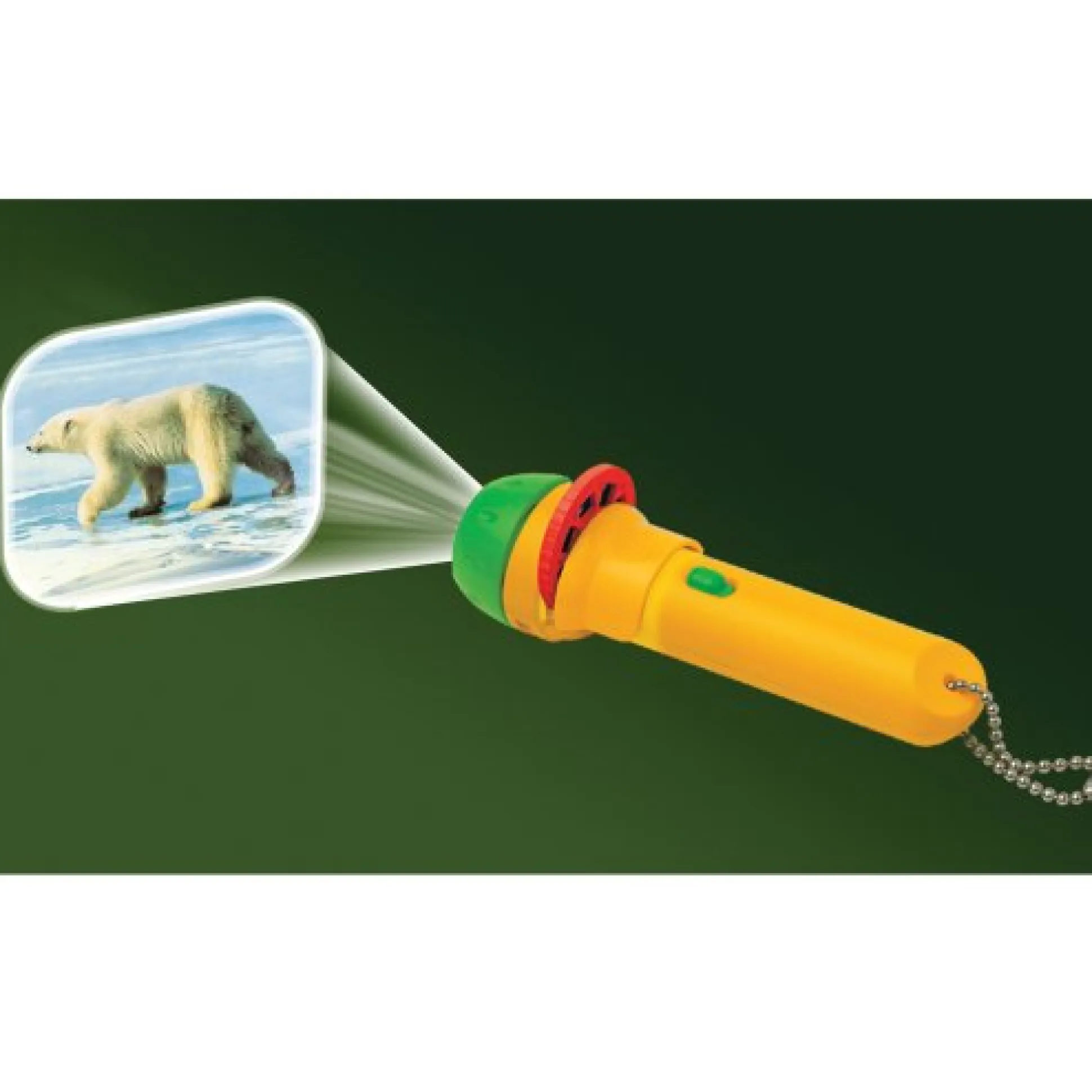 Animal Projector