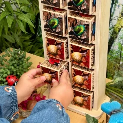 Bug Hotel 10-Frame Wooden Counting Toy | Nature-Inspired Math Learning Set with 10 Bug Cubes
