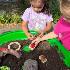 Bugs Sensory Play Stones Set | Realistic Insect & Creature Tactile Learning Toys