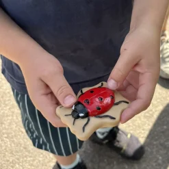 Bugs Sensory Play Stones Set | Realistic Insect & Creature Tactile Learning Toys