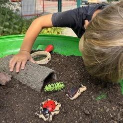 Bugs Sensory Play Stones Set | Realistic Insect & Creature Tactile Learning Toys