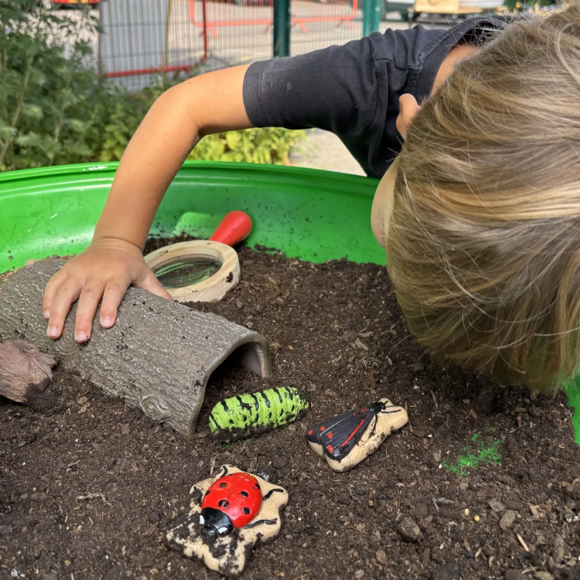 Bugs Sensory Play Stones Set | Realistic Insect & Creature Tactile Learning Toys
