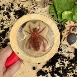 Bugs Sensory Play Stones Set | Realistic Insect & Creature Tactile Learning Toys