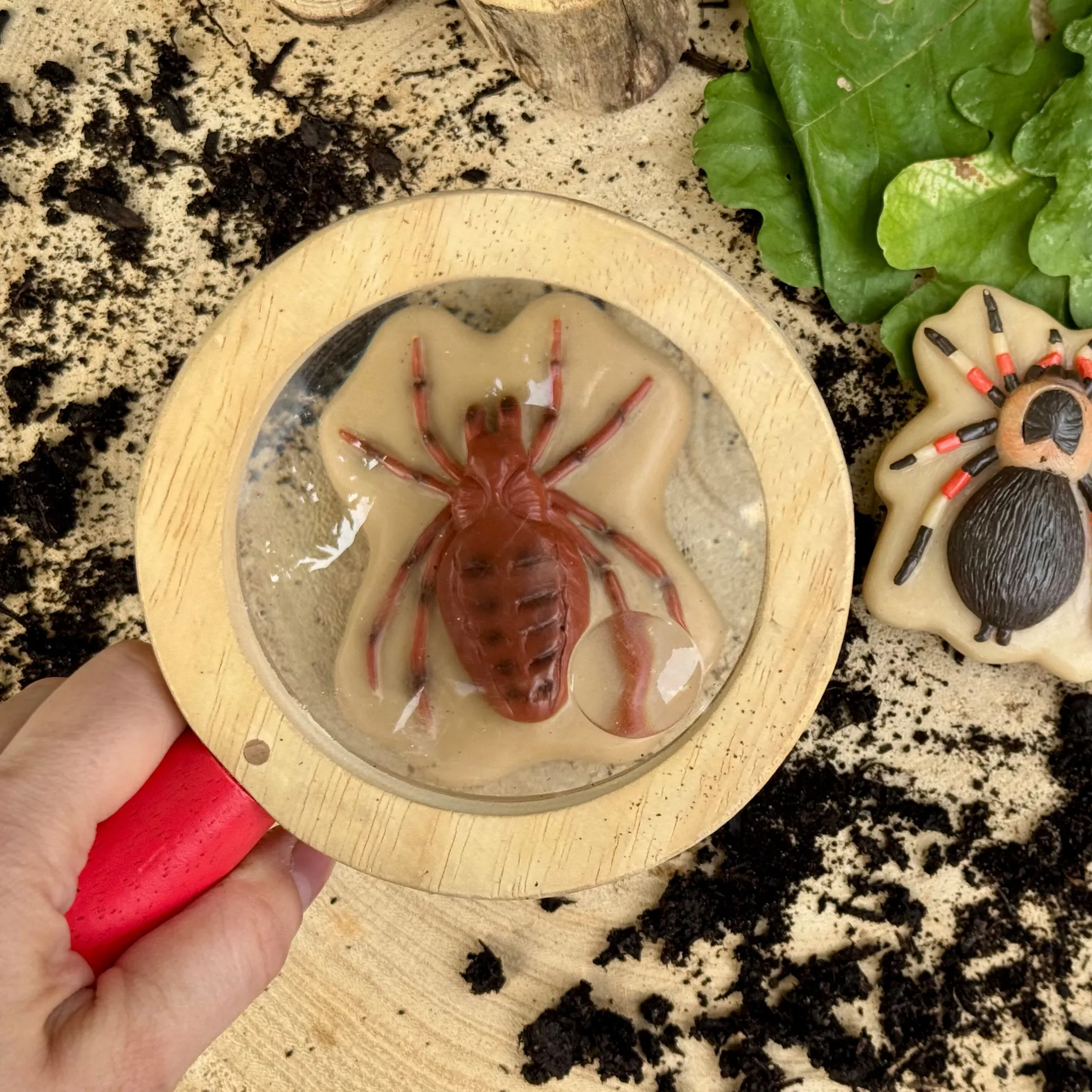 Bugs Sensory Play Stones Set | Realistic Insect & Creature Tactile Learning Toys