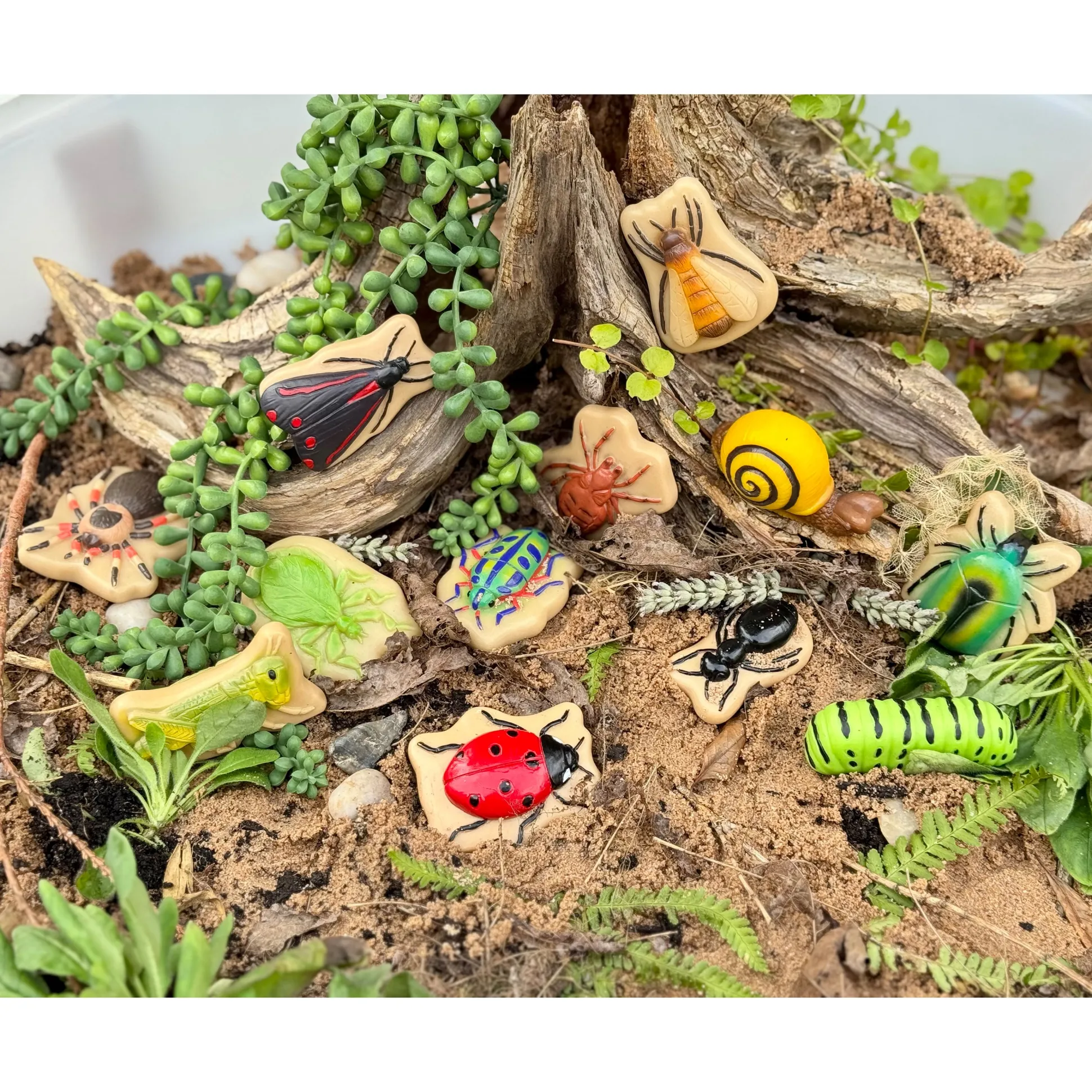 Bugs Sensory Play Stones Set | Realistic Insect & Creature Tactile Learning Toys