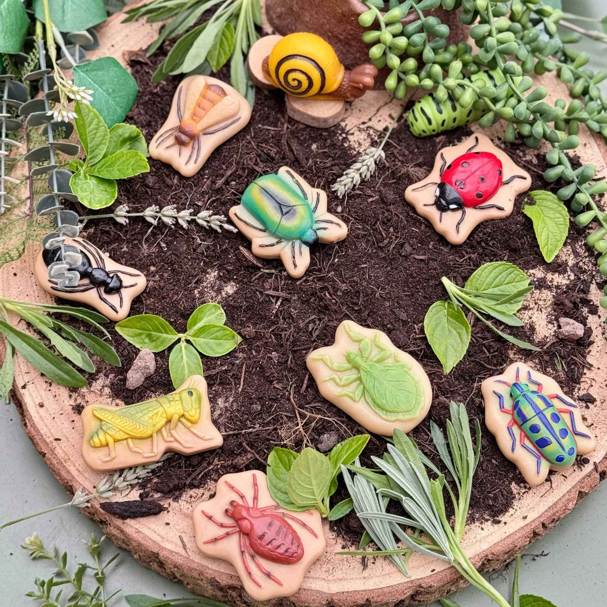 Bugs Sensory Play Stones Set | Realistic Insect & Creature Tactile Learning Toys