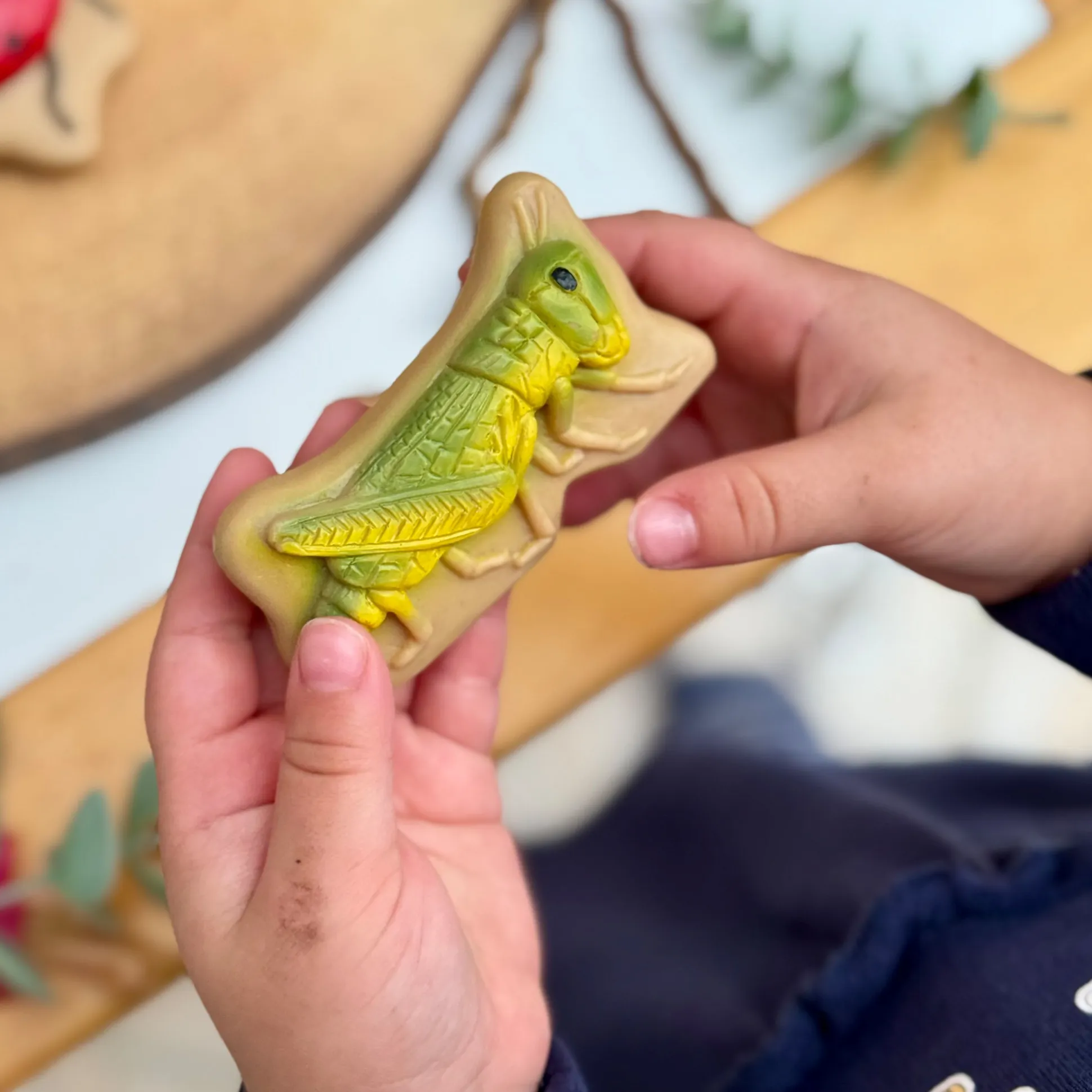 Bugs Sensory Play Stones Set | Realistic Insect & Creature Tactile Learning Toys