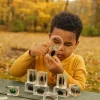 Bugs World Collection | 12 Encased Real Insects with Magnifying Glass