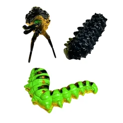 Butterfly Life Cycle Figurines