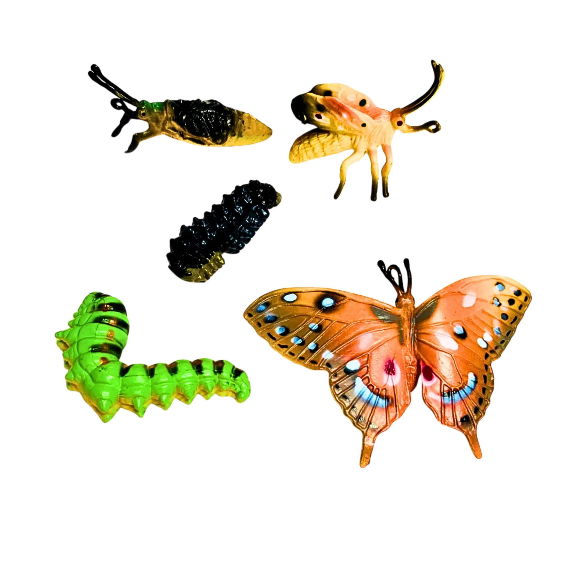 Butterfly Life Cycle Figurines