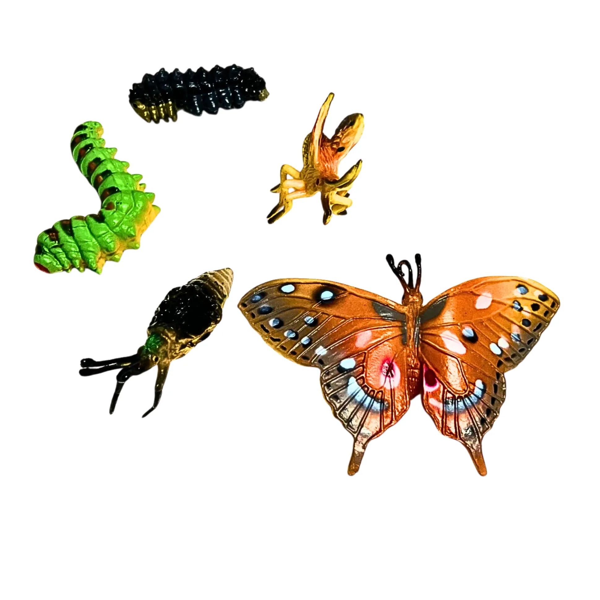 Butterfly Life Cycle Figurines