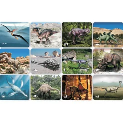 Dinosaur Picture Cards & X-Rays