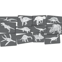 Dinosaur Picture Cards & X-Rays