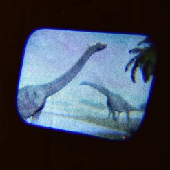 Dinosaur Projector