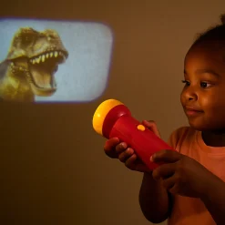 Dinosaur Projector