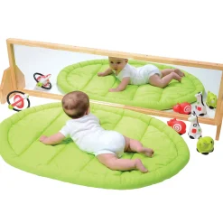 Distortion-Free Full-Length Classroom Mirror