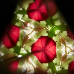 Eco-Friendly Wooden Kaleidoscope