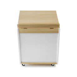 elevatED™ Mobile Big Book Holder | Classroom Book Storage with Retractable Easel