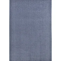 Endurance Rectangular Glacier Blue Area Rug