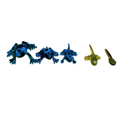 Frog Life Cycle Figurines – 5 Piece Set