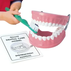 Giant Dental Care Teaching Model with Real-Bristled Toothbrush