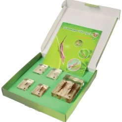 Grasshopper Life Cycle Discovery Set | 5-Piece Educational Model with Guide