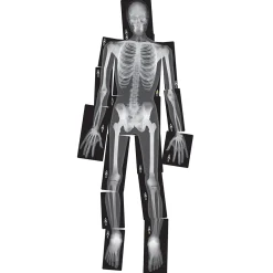 Human X-Rays