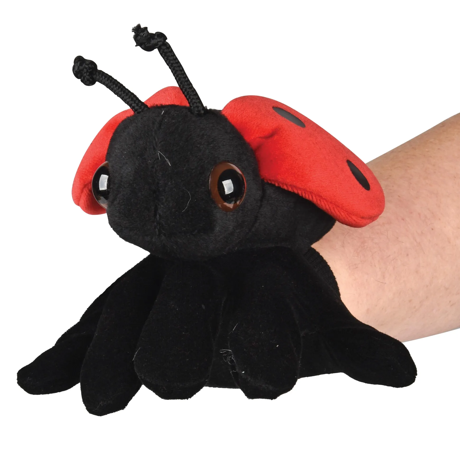 Insect & Amphibian Puppet Learning Kit | Role Play for Language Development & STEM Enrichment