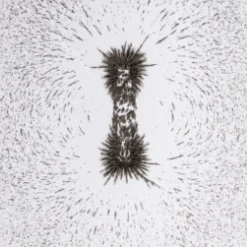 Iron Fillings