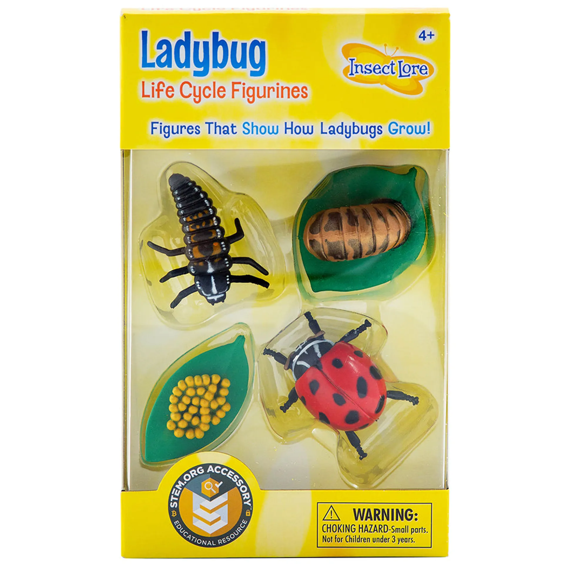 Ladybug Life Cycle Figurines | 4-Piece Educational Set