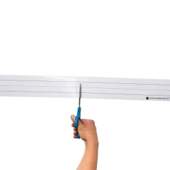 Large Magnetic Sentence Strips