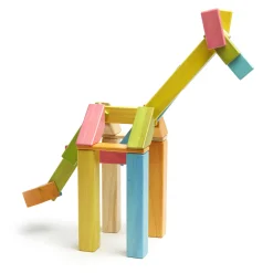 Magnetic Wooden Blocks / Tints
