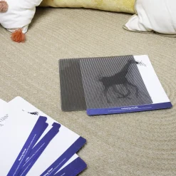Mindful Motions Exploration Sensory Cards | Animal Motion Optical Illusion Activity Set