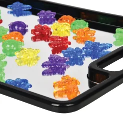Mirror Discovery Tray Set