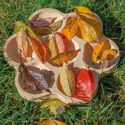 Natural Sorting & Counting Tray Collection