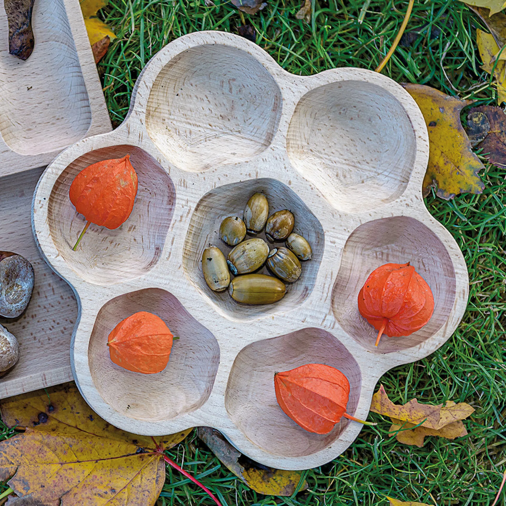 Natural Sorting & Counting Tray Collection