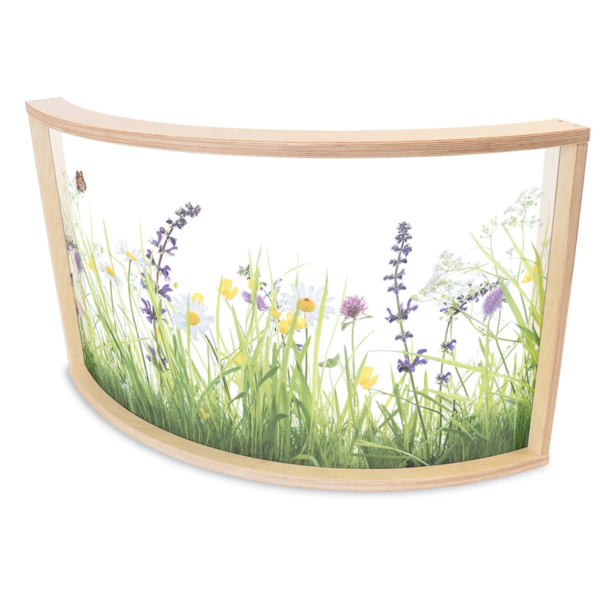 Nature View 24" Curved Acrylic Room Divider Panel