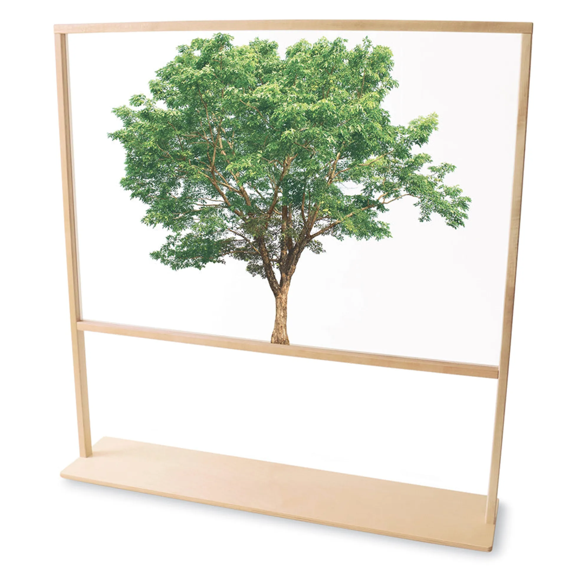 Nature View 48" Tree Acrylic Classroom Partition | Reversible Floor Divider
