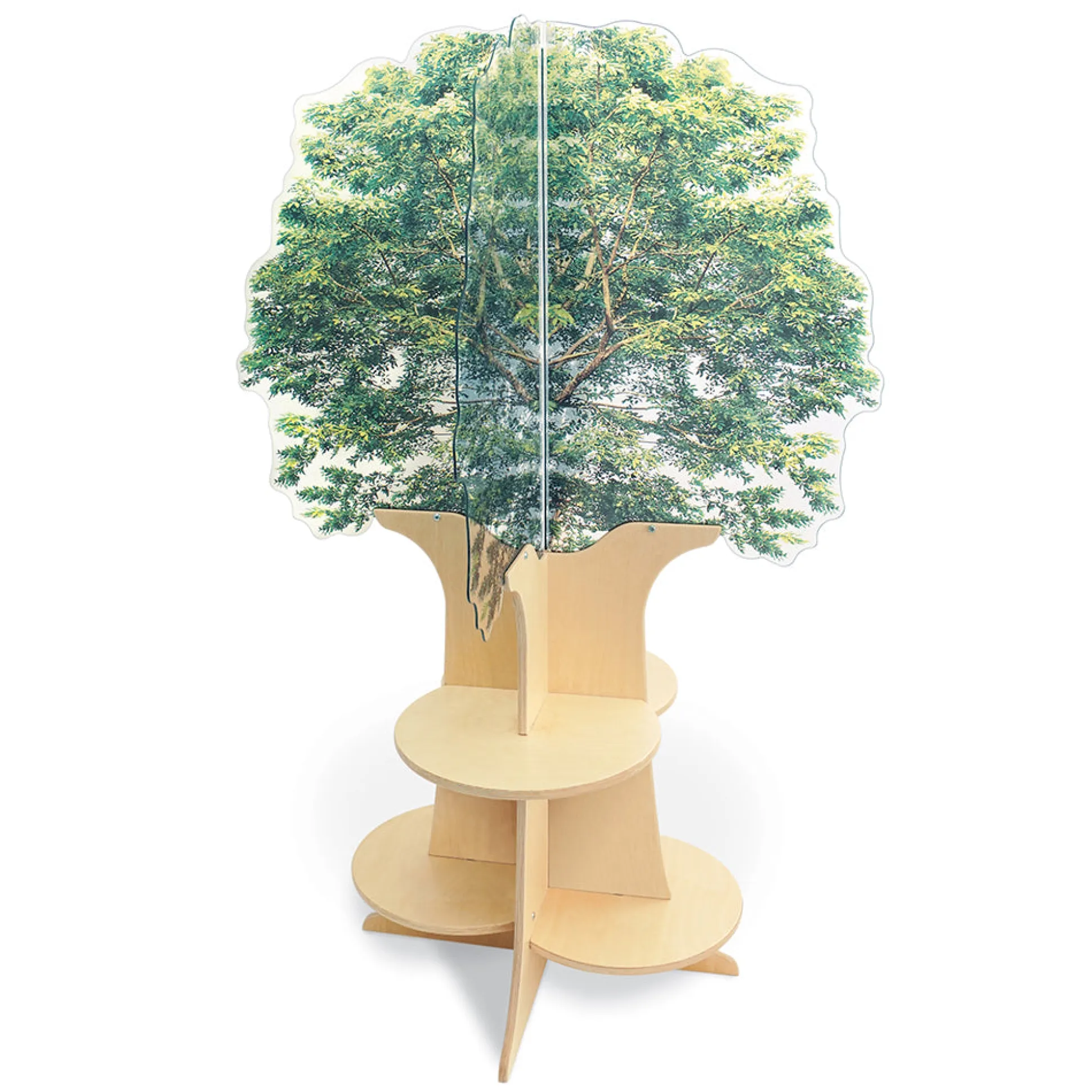 Nature View Tree Book Shelf | Reversible Biophilic Acrylic Bookshelf