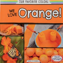 Our Favorite Colors Book Set | 6 Early Learning Color Recognition & Sight Word Books