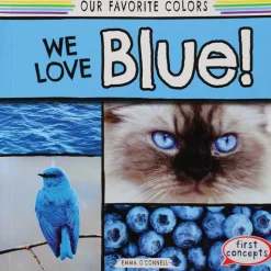 Our Favorite Colors Book Set | 6 Early Learning Color Recognition & Sight Word Books