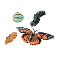 Painted Lady Butterfly Life Cycle Figurines | 4-Piece Educational Set