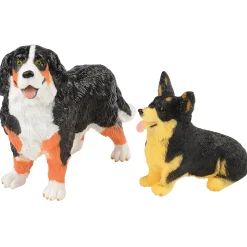 Pet Care Learning Kit | Role Play for Language, STEM & Social-Emotional Development