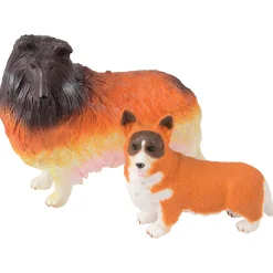 Pet Care Learning Kit | Role Play for Language, STEM & Social-Emotional Development