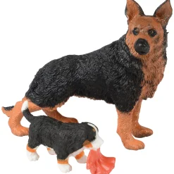 Pet Care Learning Kit | Role Play for Language, STEM & Social-Emotional Development