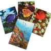 Photo Ocean Reef Memo Pads - Classroom Rewards
