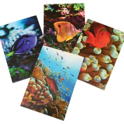 Photo Ocean Reef Memo Pads - Classroom Rewards