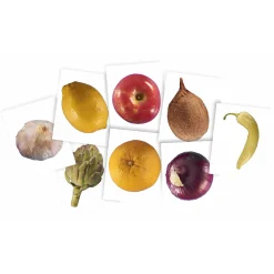 Plant X-Rays STEM Learning Card Set | Botanical Science Matching Activity with 42 Plant X-Ray Images & 42 Picture Cards